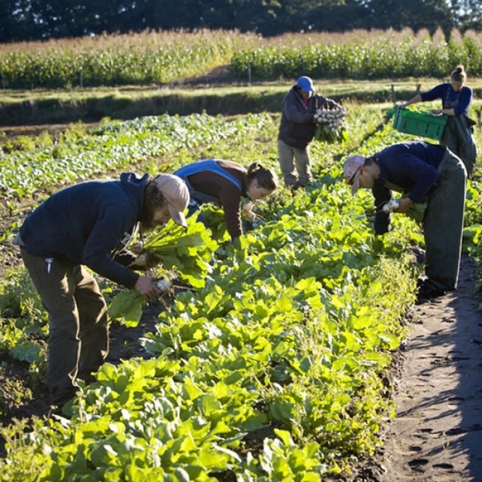 Técnico em Agropecuária Integrado ao Médio