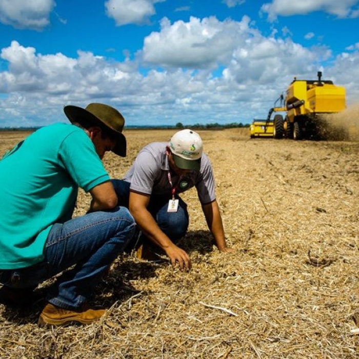 Técnico em Agronegócio